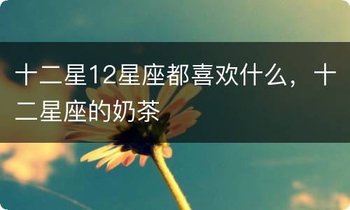 十二星12星座都喜欢什么，十二星座的奶茶