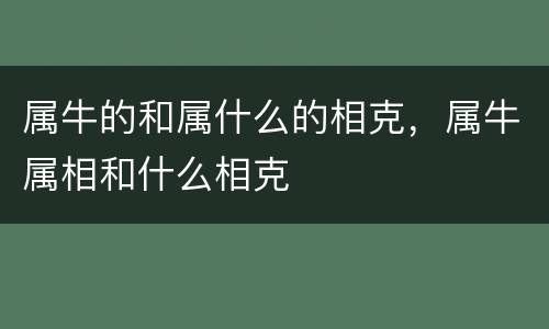 属牛的和属什么的相克，属牛属相和什么相克