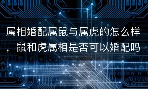 属相婚配属鼠与属虎的怎么样，鼠和虎属相是否可以婚配吗