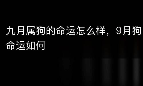九月属狗的命运怎么样，9月狗命运如何