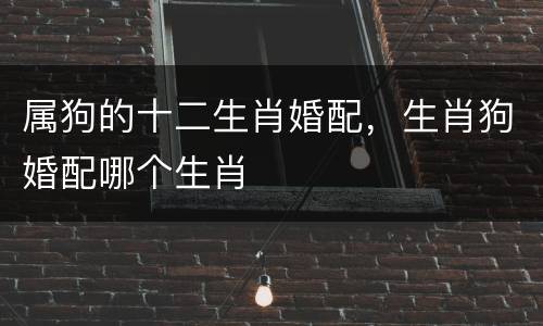 属狗的十二生肖婚配，生肖狗婚配哪个生肖
