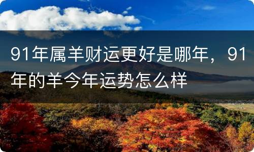 91年属羊财运更好是哪年，91年的羊今年运势怎么样