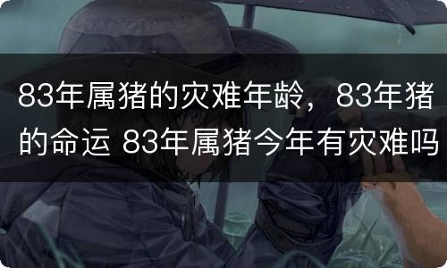 83年属猪的灾难年龄，83年猪的命运 83年属猪今年有灾难吗