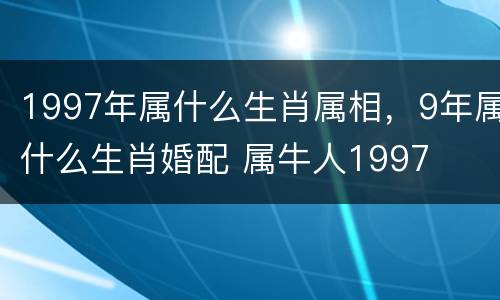 1997年属什么生肖属相，9年属什么生肖婚配 属牛人1997