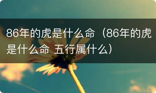 86年的虎是什么命（86年的虎是什么命 五行属什么）