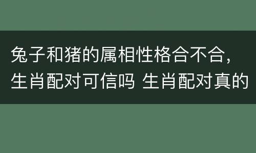 兔子和猪的属相性格合不合，生肖配对可信吗 生肖配对真的准吗
