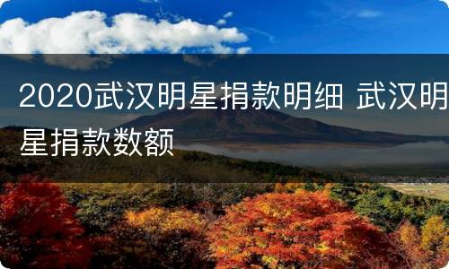 2020武汉明星捐款明细 武汉明星捐款数额