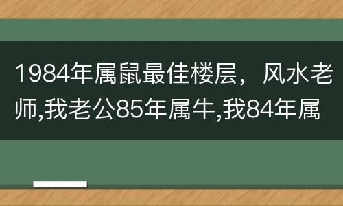 1984年属鼠最佳楼层，风水老师,我老公85年属牛,我84年属鼠,选楼