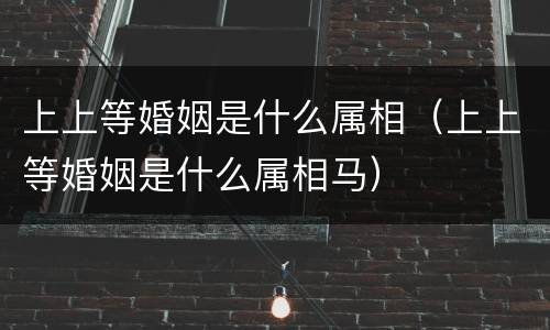 上上等婚姻是什么属相（上上等婚姻是什么属相马）