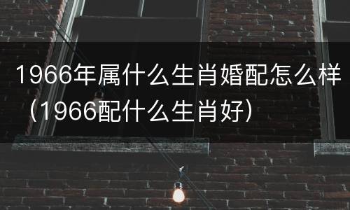 1966年属什么生肖婚配怎么样（1966配什么生肖好）
