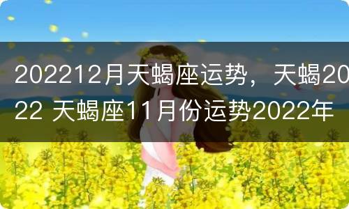 202212月天蝎座运势，天蝎2022 天蝎座11月份运势2022年