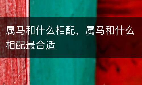 属马和什么相配，属马和什么相配最合适