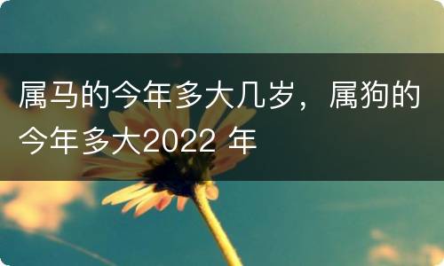 属马的今年多大几岁，属狗的今年多大2022 年