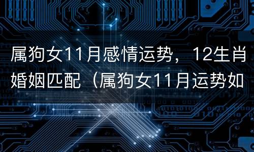 属狗女11月感情运势，12生肖婚姻匹配（属狗女11月运势如何）