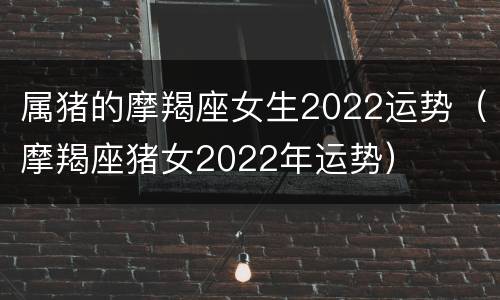 属猪的摩羯座女生2022运势（摩羯座猪女2022年运势）