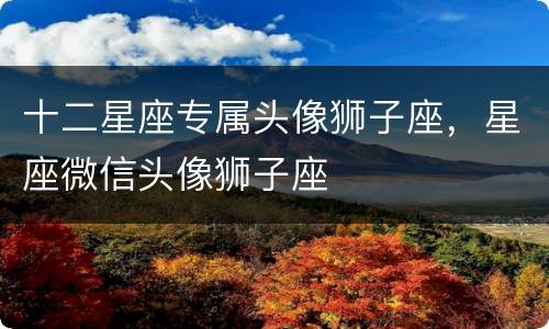 十二星座专属头像狮子座，星座微信头像狮子座