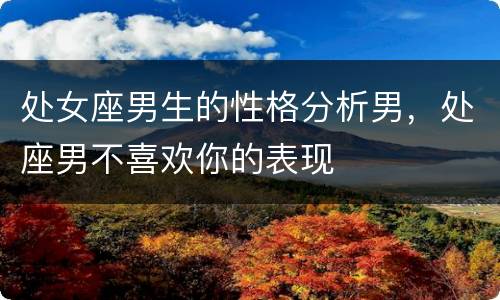 处女座男生的性格分析男，处座男不喜欢你的表现
