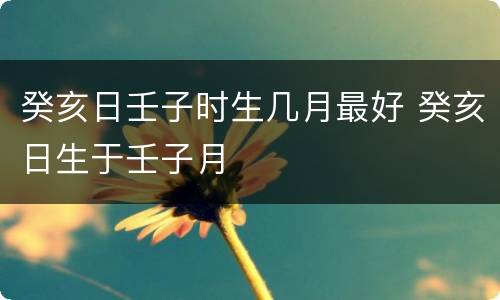 癸亥日壬子时生几月最好 癸亥日生于壬子月