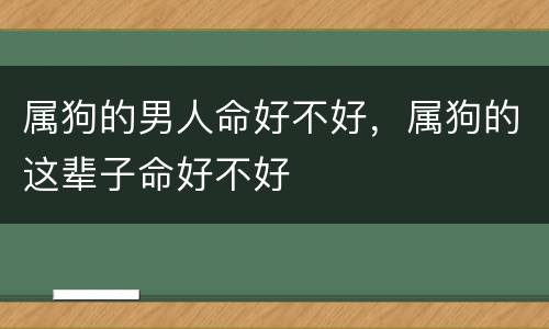 属狗的男人命好不好，属狗的这辈子命好不好
