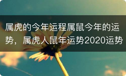 属虎的今年运程属鼠今年的运势，属虎人鼠年运势2020运势详解