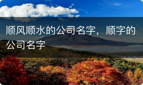 顺风顺水的公司名字，顺字的公司名字