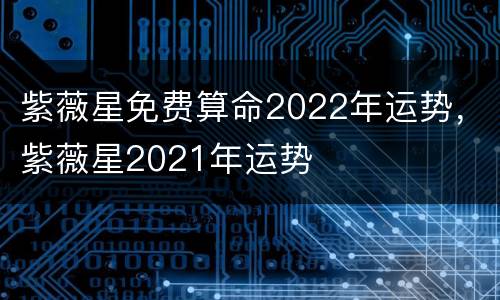 紫薇星免费算命2022年运势，紫薇星2021年运势