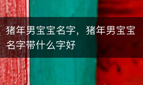 猪年男宝宝名字，猪年男宝宝名字带什么字好