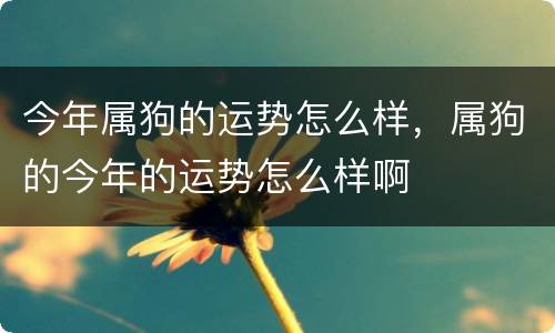 今年属狗的运势怎么样，属狗的今年的运势怎么样啊