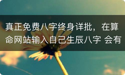 真正免费八字终身详批，在算命网站输入自己生辰八字 会有危险吗 不是说不