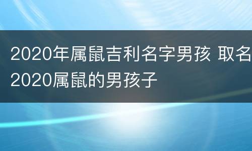 2020年属鼠吉利名字男孩 取名2020属鼠的男孩子