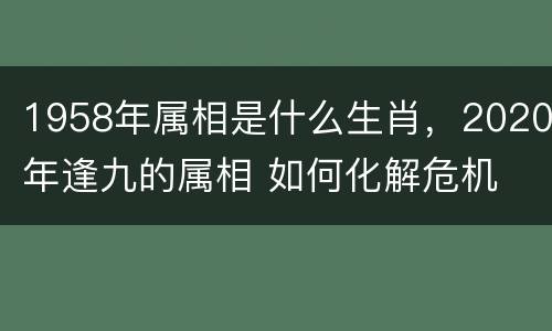 1958年属相是什么生肖，2020年逢九的属相 如何化解危机
