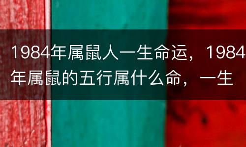 1984年属鼠人一生命运，1984年属鼠的五行属什么命，一生命运如何？