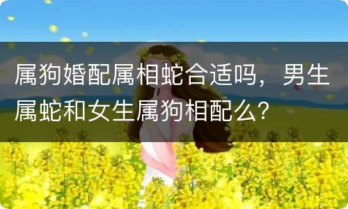 属狗婚配属相蛇合适吗，男生属蛇和女生属狗相配么？