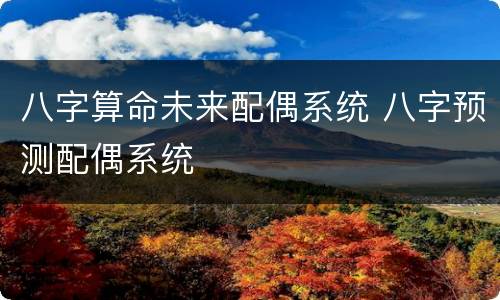 八字算命未来配偶系统 八字预测配偶系统