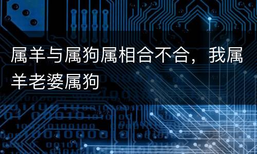 属羊与属狗属相合不合，我属羊老婆属狗