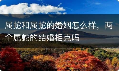 属蛇和属蛇的婚姻怎么样，两个属蛇的结婚相克吗