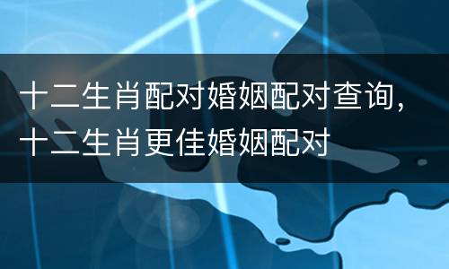 十二生肖配对婚姻配对查询，十二生肖更佳婚姻配对