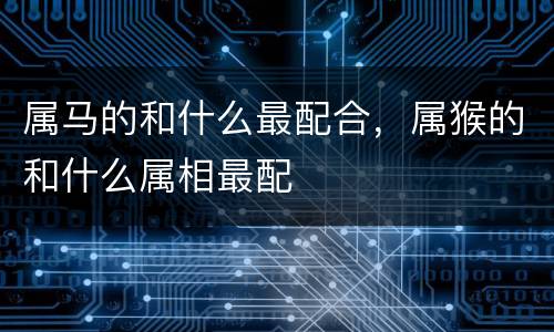 属马的和什么最配合，属猴的和什么属相最配