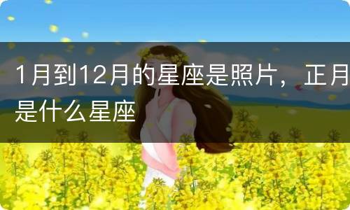 1月到12月的星座是照片，正月是什么星座
