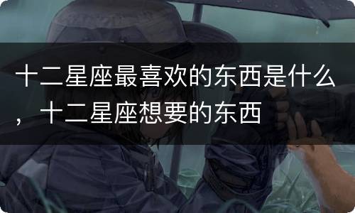 十二星座最喜欢的东西是什么，十二星座想要的东西