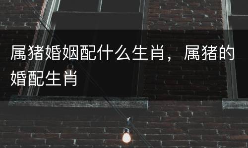 属猪婚姻配什么生肖，属猪的婚配生肖