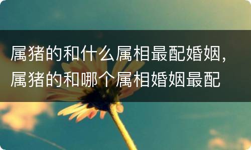 属猪的和什么属相最配婚姻，属猪的和哪个属相婚姻最配