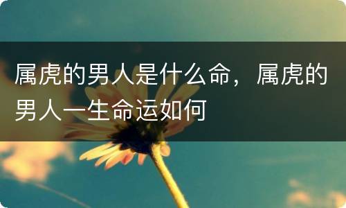 属虎的男人是什么命，属虎的男人一生命运如何