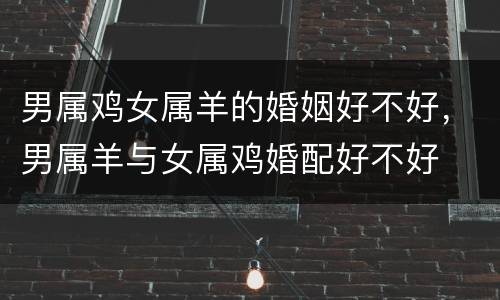 男属鸡女属羊的婚姻好不好，男属羊与女属鸡婚配好不好
