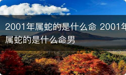 2001年属蛇的是什么命 2001年属蛇的是什么命男