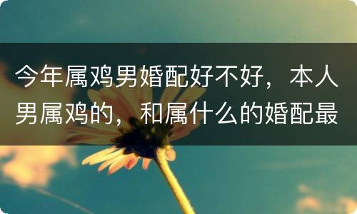 今年属鸡男婚配好不好，本人男属鸡的，和属什么的婚配最好。据说是比我大一