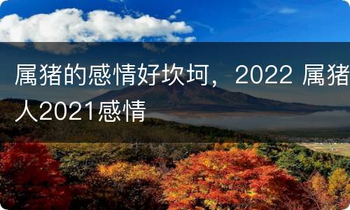 属猪的感情好坎坷，2022 属猪人2021感情