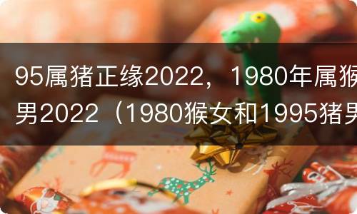 95属猪正缘2022，1980年属猴男2022（1980猴女和1995猪男合不合）