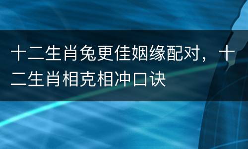 十二生肖兔更佳姻缘配对，十二生肖相克相冲口诀