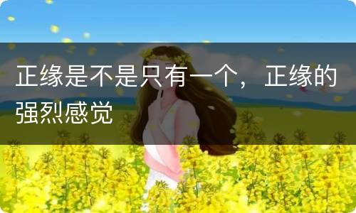正缘是不是只有一个，正缘的强烈感觉